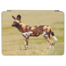 Search for adult animal mini ipad cases color image