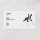 Search for boston terrier business cards terriers