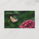 Search for hummingbird business cards Animal