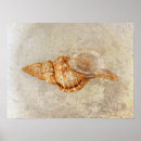 Search for vintage beach posters Coastal