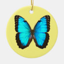 Search for butterfly ornaments Morpho