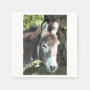 Search for donkey gifts Animals
