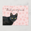 Search for black cat thank you postcards Thanks