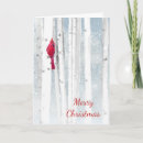 Search for birch trees christmas cards Cardinal