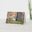 Search for funny squirrel christmas cards Nature