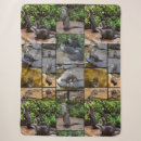Search for otter blankets Wildlife