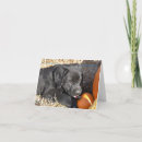 Search for labrador note cards Black