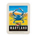 Search for maryland magnets State flag