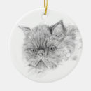 Search for persian cat ornaments Animal