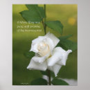 Search for 16x20 posters Photography