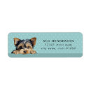Search for yorkie return address labels Puppy