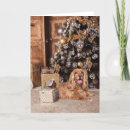 Search for cocker spaniel christmas cards Animal