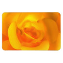 Search for lemon magnets Cheerful