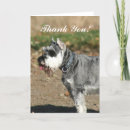 Search for schnauzer cards Dog