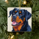 Search for dog breed ornaments Brown