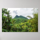 Search for el yunque posters Green