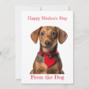 Search for happy mothers day from dog Pet