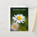 Search for birthday thank you postcards Floral