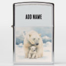 Search for bear lighters Wildlife