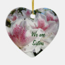 Search for sister ornaments Colorful