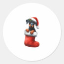 Search for doberman stickers Dog