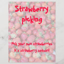 Search for strawberry flyers Strawberries