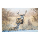 Search for mule posters Deer