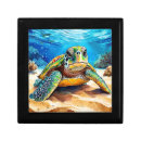 Search for turtle gift boxes Ocean