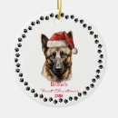 Search for belgian malinois ornaments Cute