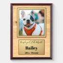 Search for funny awards Dog lover