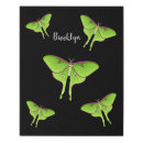 Search for luna moth art Insect