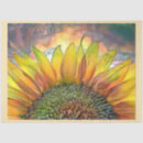 Search for sunflower tissue paper Floral