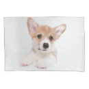 Search for corgi pillowcases Canine