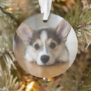Search for corgi ornaments Cute