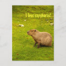 Search for argentina postcards America