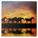 Search for horse tiles Wild