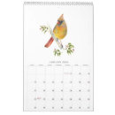 Search for cardinal bird gifts Watercolor