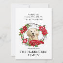 Search for golden retriever christmas cards Watercolor