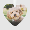 Search for unique pet memorials Remembrance