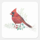 Search for red cardinal stickers Bird