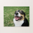 Search for corgi puzzles Cute