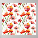 Search for red poppies posters Illustration