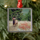 Search for elk ornaments Wildlife