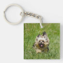 Search for yorkie keychains Terrier