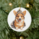 Search for corgi ornaments Winter