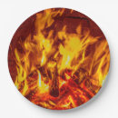 Search for campfire paper plates Birthday