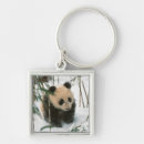 Search for panda keychains Cub