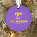 Search for technology ornaments College