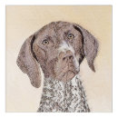Search for german shorthaired pointer art Dog
