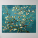 Search for almond blossom by vincent van gogh posters Post impressionist